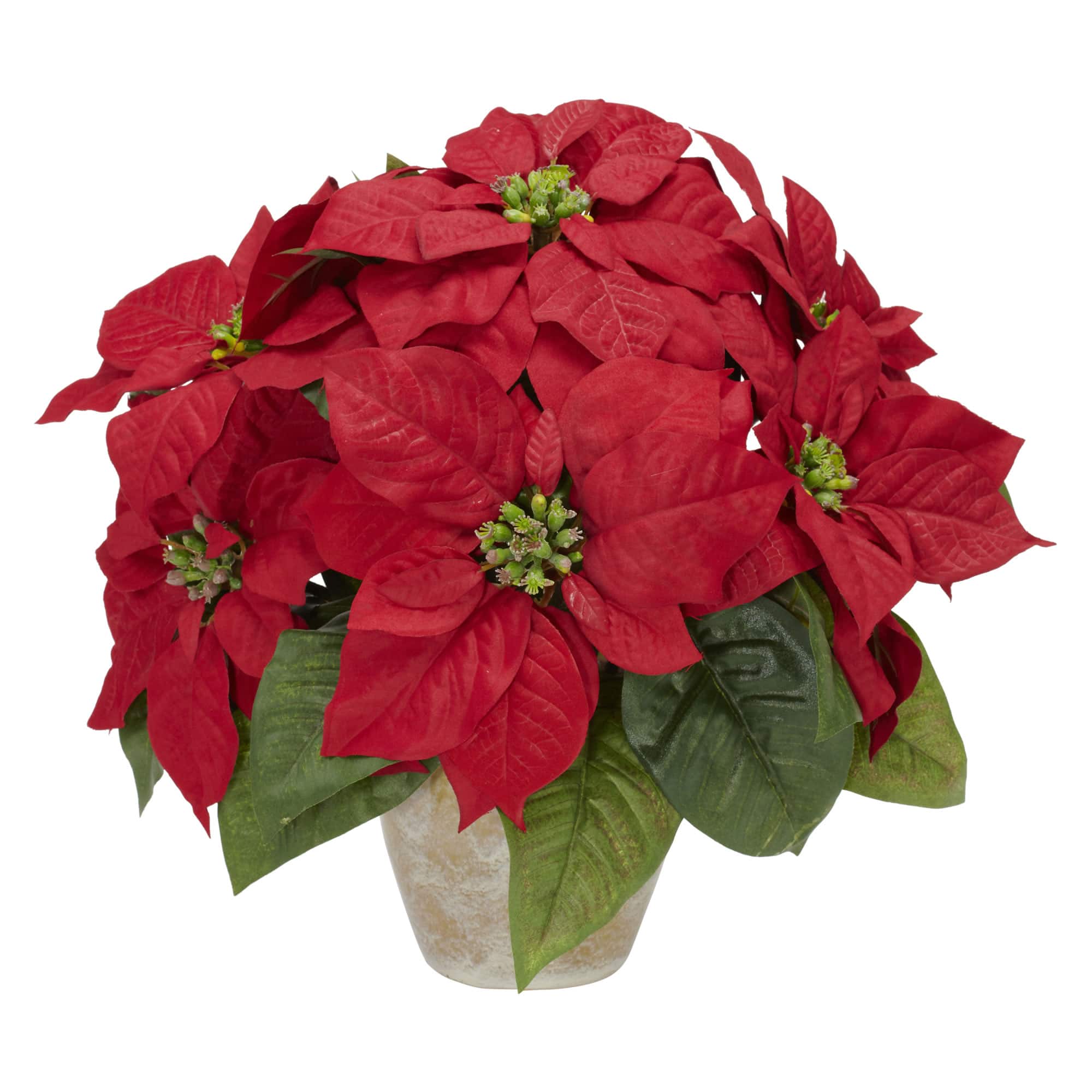 13" Potted Poinsettia with Ceramic Vase